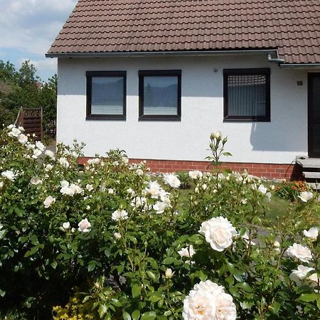 Fewo Am Sassenberg Blankenburg  Dış mekan fotoğraf
