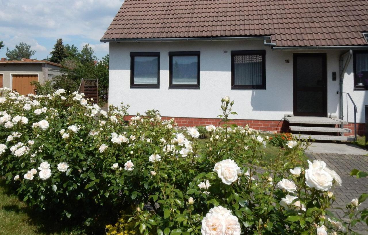 Fewo Am Sassenberg Blankenburg  Dış mekan fotoğraf